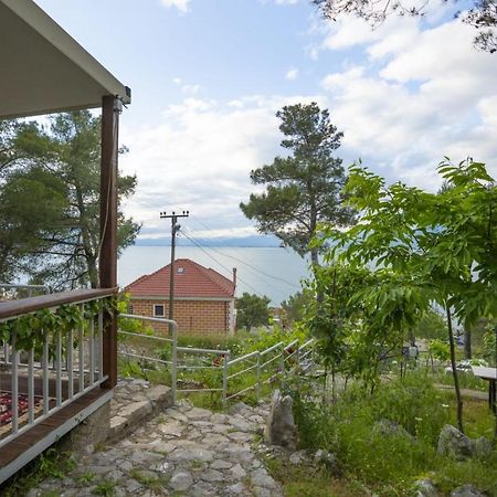 Villa Among The Trees à Široka Extérieur photo