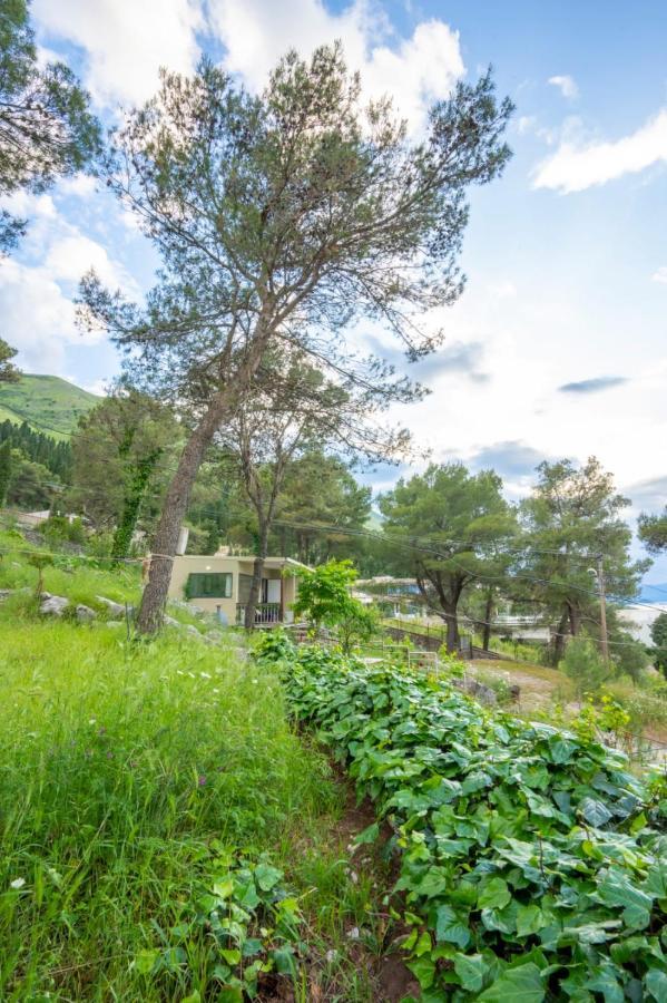 Villa Among The Trees à Široka Extérieur photo